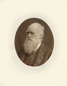 Charles Robert Darwin - Lock and Whitfield